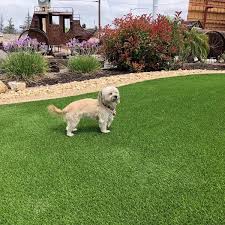 Dog-Friendly Artificial Grass Installation: A Practical Guide